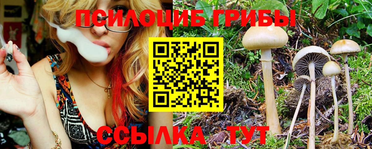 Новоуральск  Галлюциногенные грибы мицелий  Псилоцибиновые грибы Psilocybe  Вход с VPN 