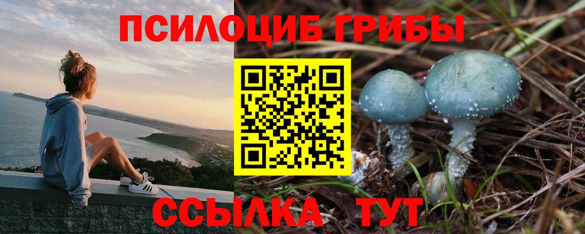 Псилоцибиновые грибы мухоморы Новоуральск